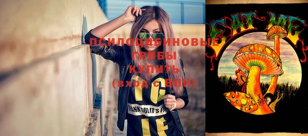 СК Балахна